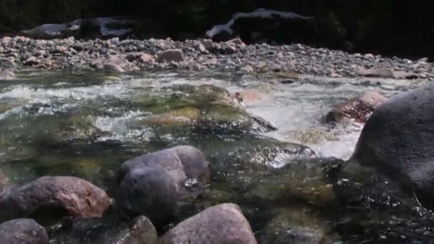 Fondo del río de montaña — Vídeos de Stock