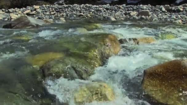 Berrak dağ nehri — Stok video