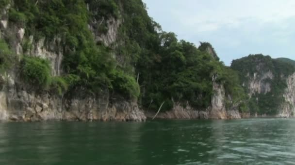 在丛林中的热带河 — 图库视频影像