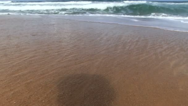 Κύματα σε τροπική παραλία — Αρχείο Βίντεο