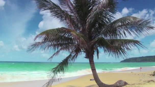 Tropical beach with red flag — Stock Video