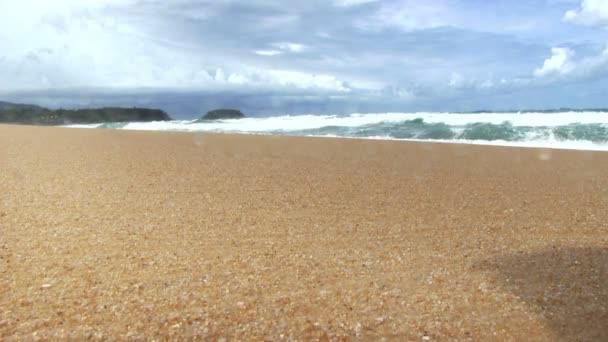 Surfen op het tropisch strand — Stockvideo