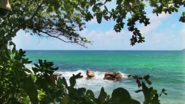 Playa tropical con palmeras — Vídeo de stock