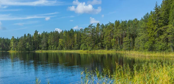 Schöner Waldsee Russland Panoramablick Auf Die Wunderschöne Seenlandschaft Der Region Stockbild