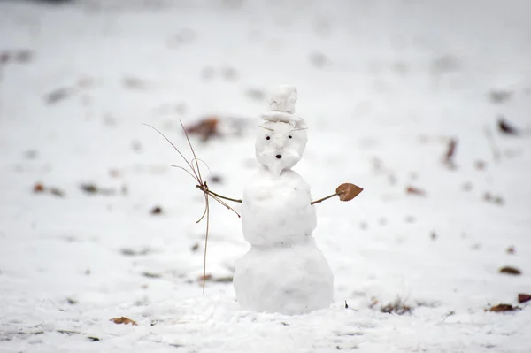 Снеговик держит сухие ветви — стоковое фото