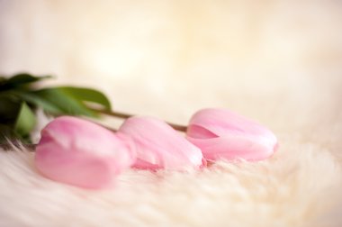 İhale Pembe Lale buketi 