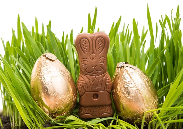 Chocolate bunny in the grass with easter eggs — Stock Photo, Image