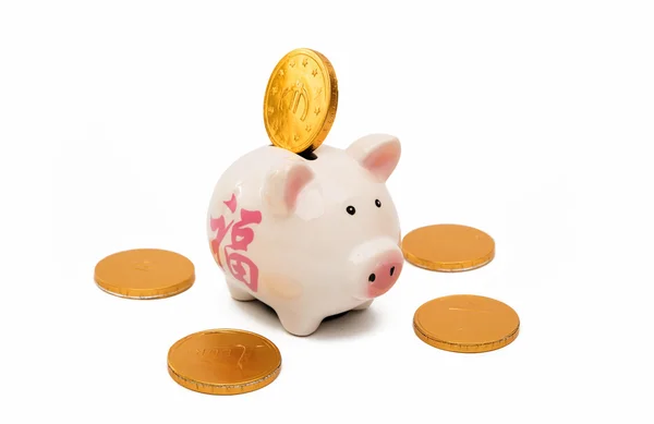 Varken piggy bank met munten — Stockfoto