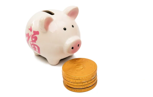 Pig prasátko s mincí — Stock fotografie