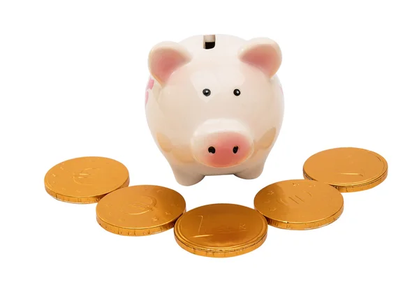 Varken piggy bank met munten — Stockfoto