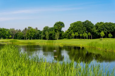 Bahar çayır peyzaj 