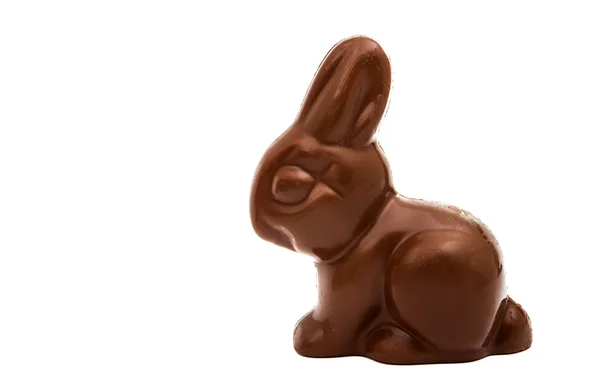 Lapin chocolat isolé — Photo