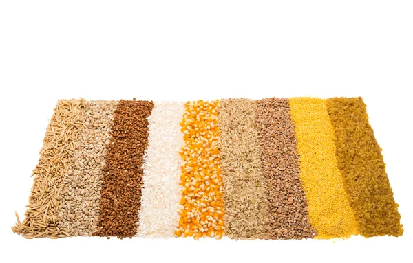 Collection Set of Cereal Grains — Stock Photo, Image