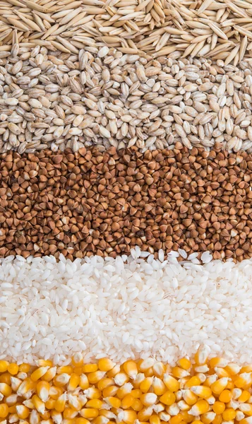 Colección de granos de cereales — Foto de Stock