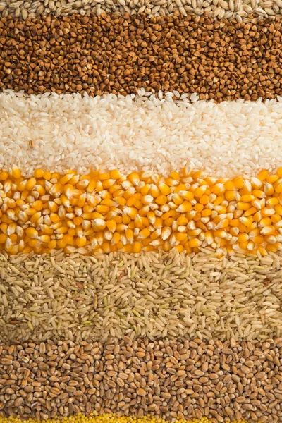 Tahıl taneleri koleksiyonu ayarla