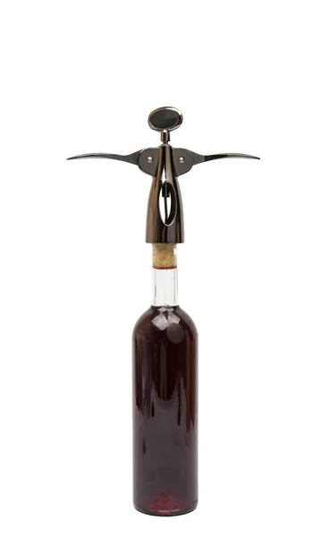 Wine bottle isolated — Stock Photo, Image