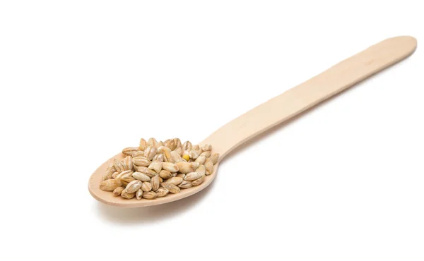 Pearl barley in a wooden spoon isolated — Stock Photo, Image