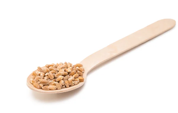 Wheat in a wooden spoon isolated — Stock Photo, Image