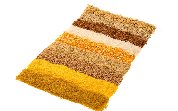 Collection Set of Cereal Grains — Stock Photo, Image