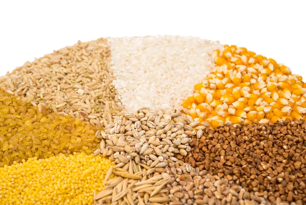 Collection Set of Cereal Grains Royalty Free Stock Photos