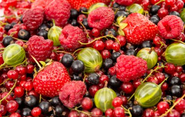 meyve: ahududu, bektaşi, kuş üzümü, çilek