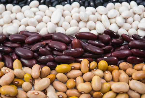さまざまな色の腎臓豆 — ストック写真