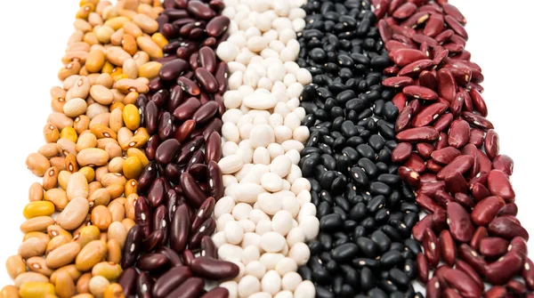 Kidney beans of different colors — Stock Photo, Image