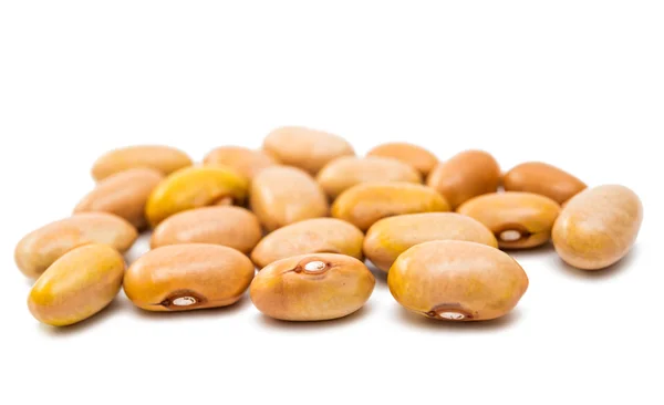 Kidney beans isolated — Stock Photo, Image