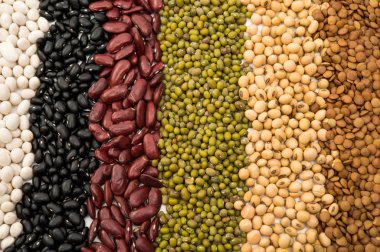 Kurutulmuş mercimek, bezelye, soya fasulyesi, fasulye karışımı