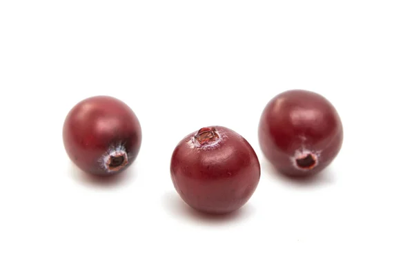 小红莓孤立的水果 — 图库照片