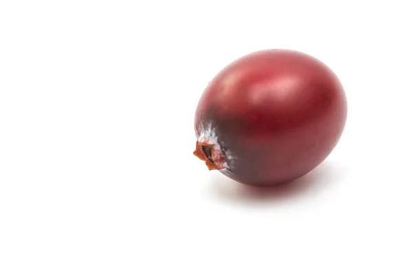 Na białym tle owoc żurawiny — Zdjęcie stockowe