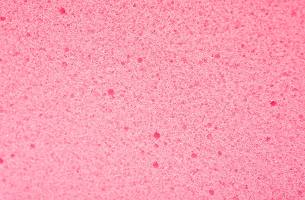 Σφουγγάρι closeup υφή φόντου — Φωτογραφία Αρχείου