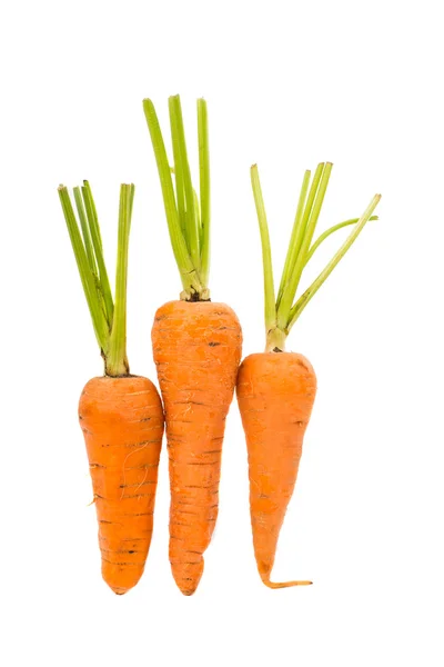 Comida aislada de zanahoria —  Fotos de Stock