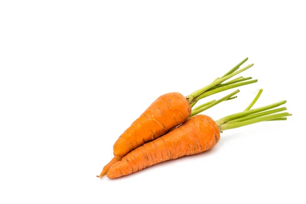 Comida aislada de zanahoria —  Fotos de Stock