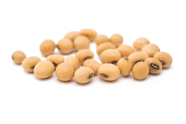 Soybeans nutrition ingredients — Stock Photo, Image