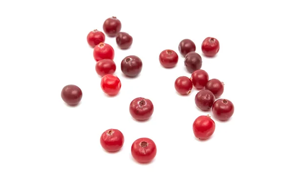 Cranberries alimentos de frutas — Fotografia de Stock