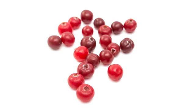 Mirtilli rossi frutta cibo — Foto Stock