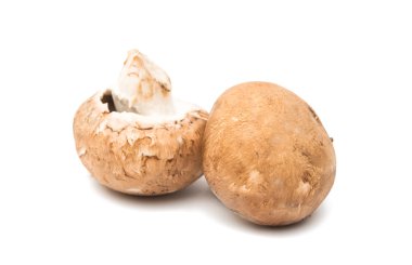 kahverengi champignon mantar 