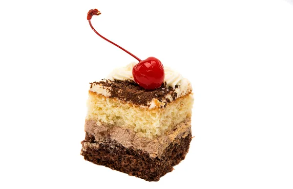 Een stukje spons cake geïsoleerd — Stockfoto