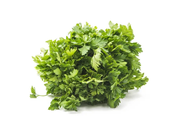 Bunch of parsley isolated — Stock Photo, Image