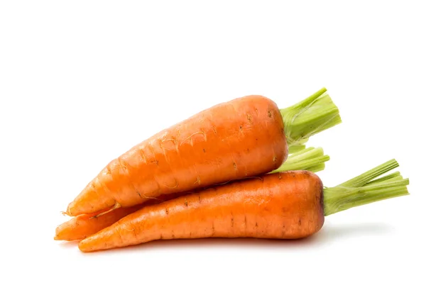 Nature carrot isolated — Stock Photo, Image