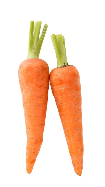 Raw carrot isolated — Stock Photo, Image