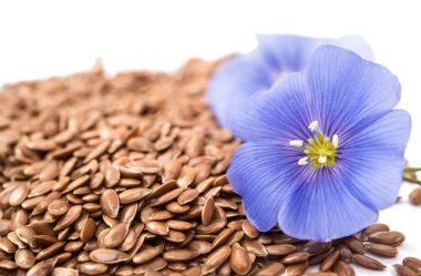 İzole tohumları ile mavi keten çiçek 