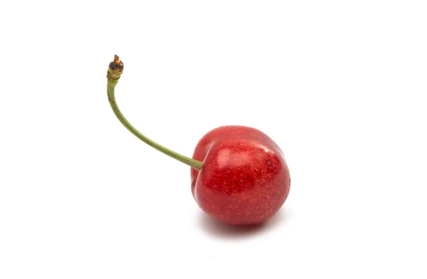 Red cherries isolated — Stock Photo, Image