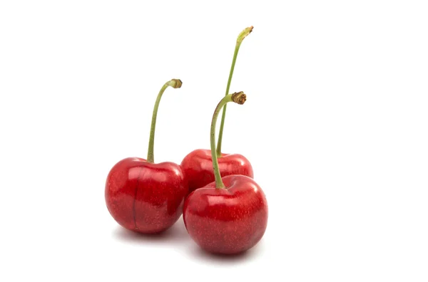 Cerezas rojas aisladas — Foto de Stock