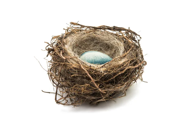 Chocolate eggs in the nest isolated — Stock Photo, Image