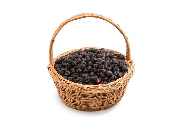 Black raspberries in a basket — Stock Photo, Image