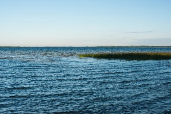 여름 rushy 호수 — 스톡 사진