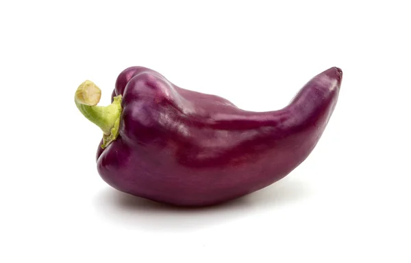 Peper plantaardige geïsoleerd — Stockfoto