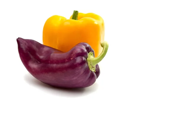 Pepper vegetable isolated — Stock Photo, Image